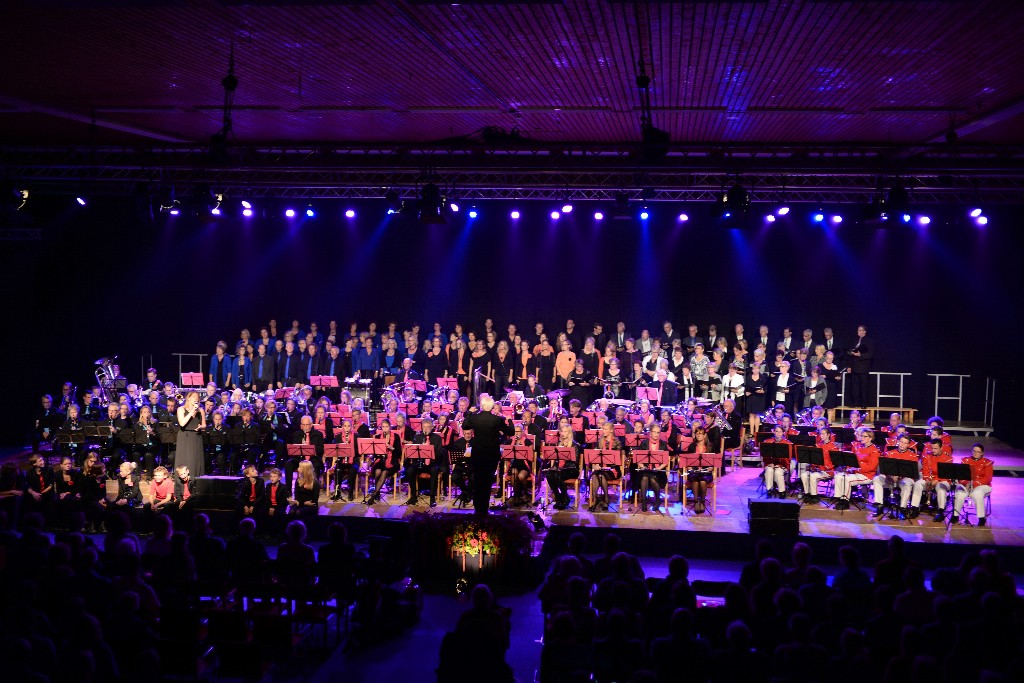 ../Images/Jubileumconcert 100 jaar Harpe Davids 280.jpg